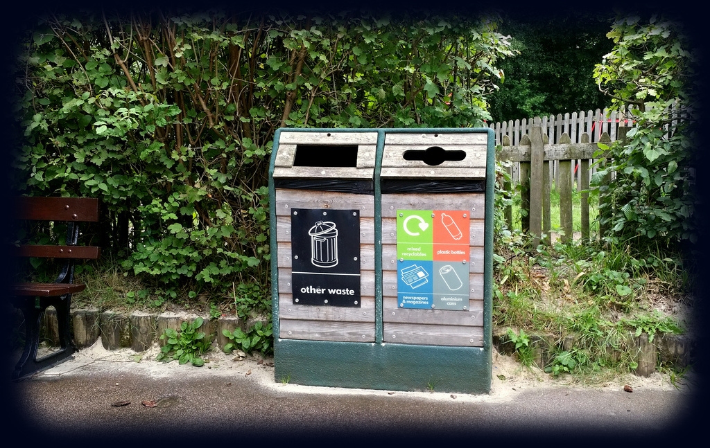 waste bins - recycling and "other"
