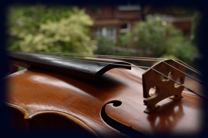 violin close-up